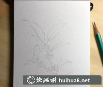 水彩桂花畫法教程