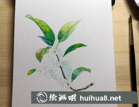 水彩畫桂花 水彩畫桂花