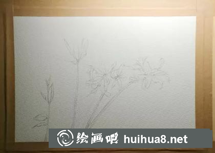 水彩畫曼珠沙華