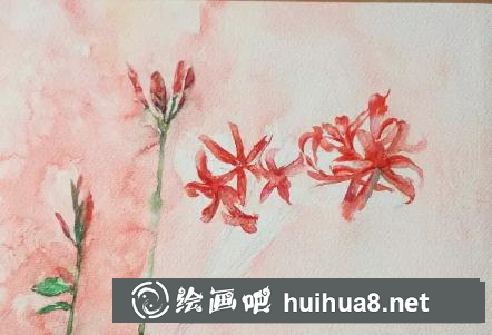 水彩畫曼珠沙華