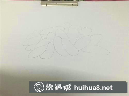 一把瓜子彩鉛畫