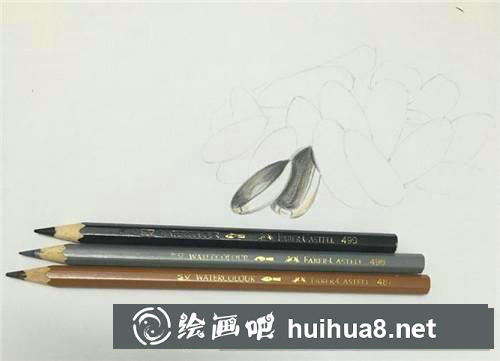 一把瓜子彩鉛畫