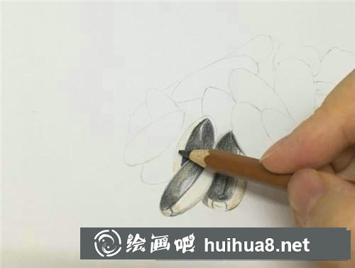 一把瓜子彩鉛畫