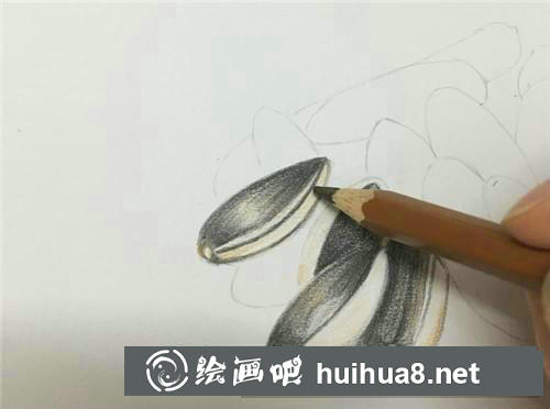 一把瓜子彩鉛畫