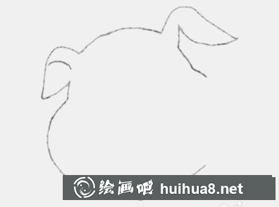 小萌豬的畫法