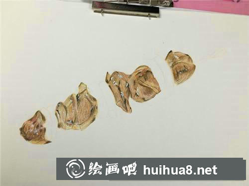 烤肉串彩鉛畫