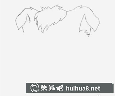 小灰灰的畫(huà)法