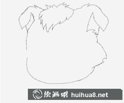 小灰灰的畫(huà)法