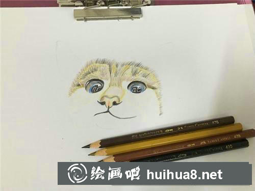 小萌貓彩鉛畫