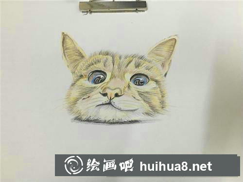 小萌貓彩鉛畫