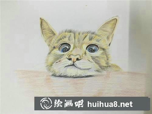 小萌貓彩鉛畫