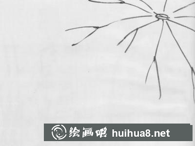荷花的畫法