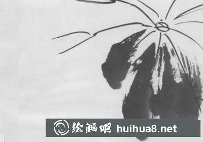 荷花的畫法