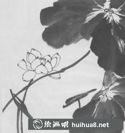 荷花的畫法