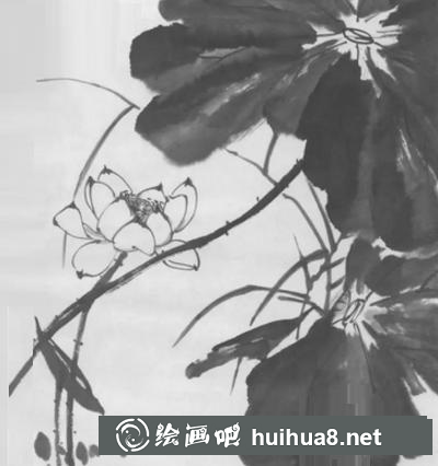 荷花的畫法