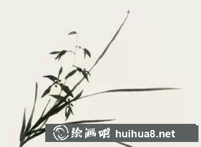 蘭花的畫法