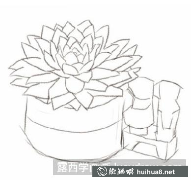 怎么畫蝴蝶蘭