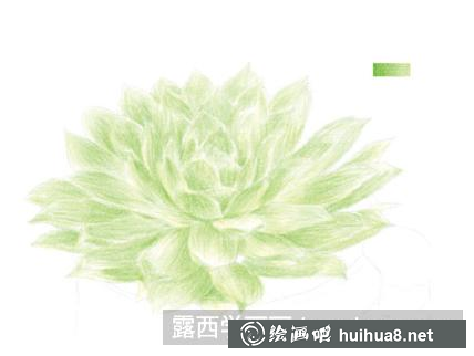 怎么畫蝴蝶蘭