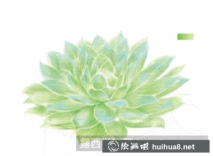 怎么畫蝴蝶蘭