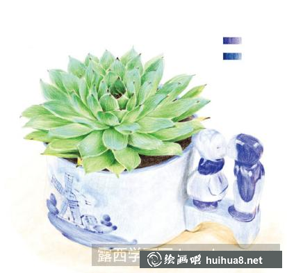怎么畫蝴蝶蘭