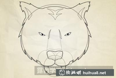 老虎頭的畫法