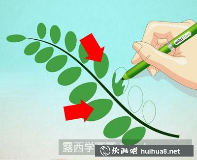 樹(shù)葉的畫(huà)法