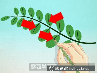 樹(shù)葉的畫(huà)法