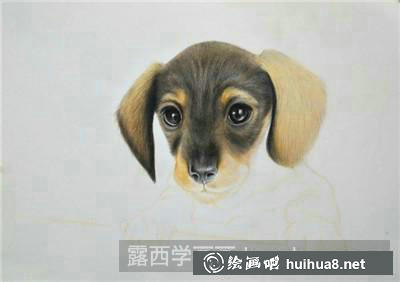 小狗彩鉛