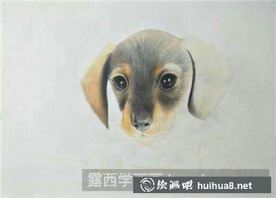 小狗彩鉛