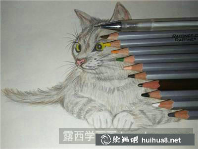 貓彩鉛