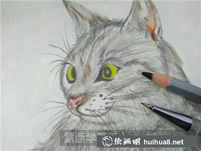 貓彩鉛