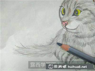 貓彩鉛