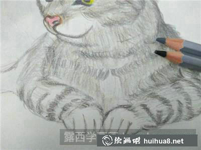 貓彩鉛