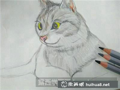 貓彩鉛