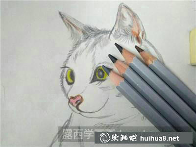 貓彩鉛