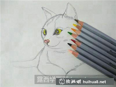 貓彩鉛