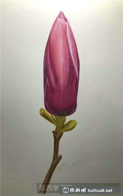 花苞彩鉛