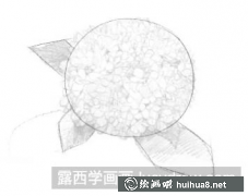 繡球花素描畫教程入門攻略