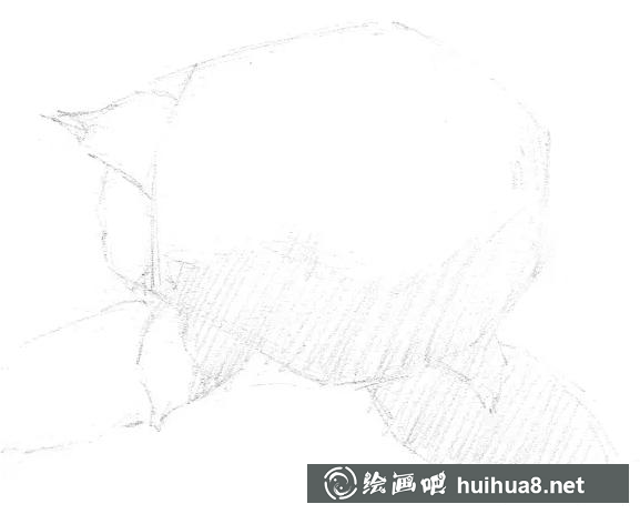 素描畫繡球花 素描畫繡球花