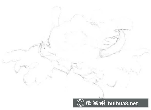 素描畫菊花