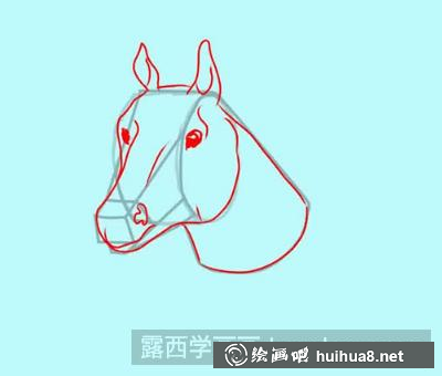 馬頭的畫法