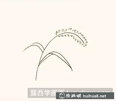 狗尾巴草的畫法