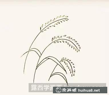 狗尾巴草的畫法