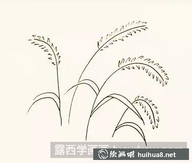 狗尾巴草的畫法