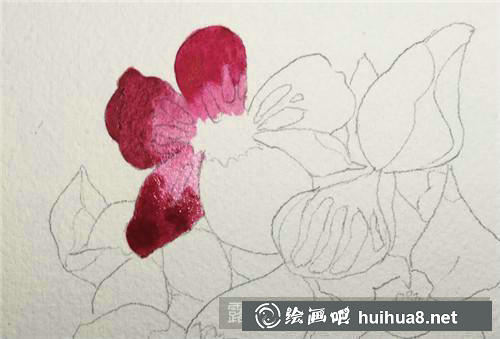 花精靈水彩畫(huà)