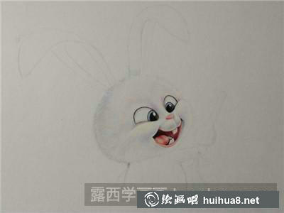 小白彩鉛