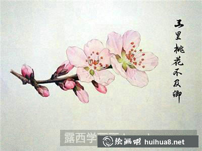 桃花彩鉛
