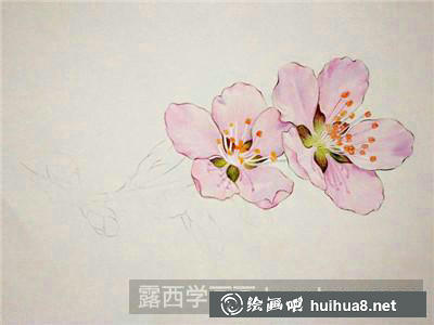 桃花彩鉛