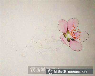 桃花彩鉛