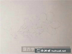 彩鉛桃花畫法攻略
